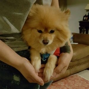 Meet your Posher, Yunhwa